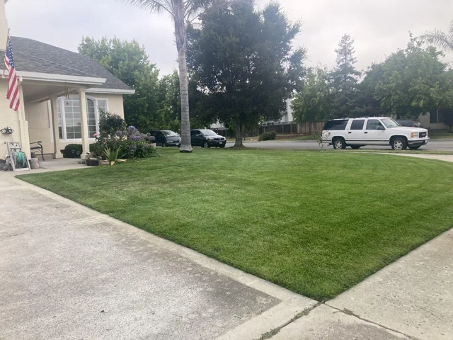 Freshly mowed front lawn on a corner lot